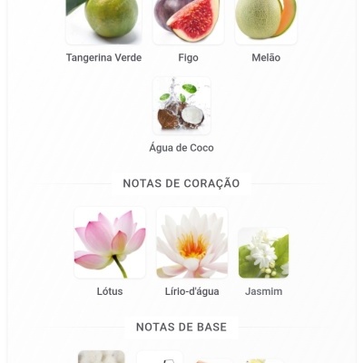 Imagens de ingredientes para notas de fragrância organizadas em topo, coração e base