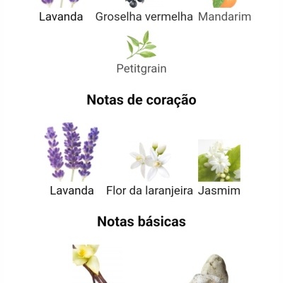 Notas olfativas de perfume com imagens de Lavanda, Groselha vermelha, Mandarim, Petitgrain, Flor da laranjeira, Jasmin, Baunilha de Madagascar, Âmbar-cinzento, Cedro e Almíscar.