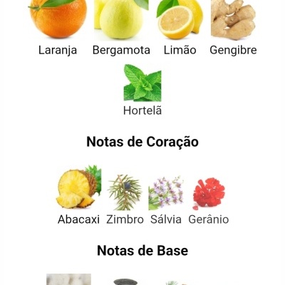 Notas olfativas para fragrância divididas em Topo, Coração e Base com imagens de frutas, ervas e madeiras