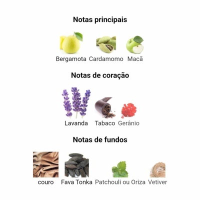 Notas olfativas para fragrância com imagens e texto em português