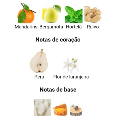 Notas de fragrância com mandarins, bergamota, hortelã, ruivo, pera, flor de laranjeira, musc, âmbar e cedro