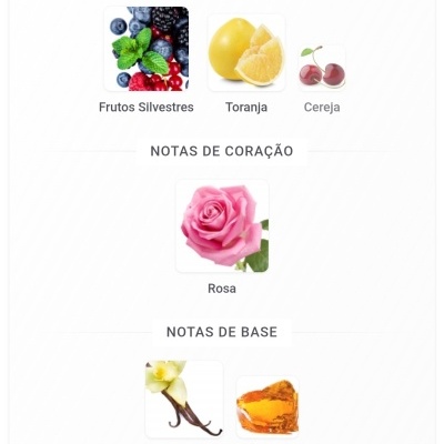 Notas de topo: frutos silvestres, toranja, cereja; notas de coração: rosa; notas de base: baunilha, âmbar