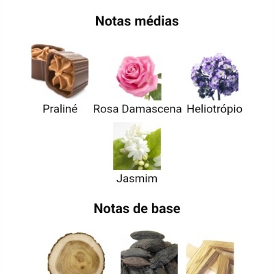Notas olfativas de perfume divididas em topo, médias e base com imagens de ingredientes