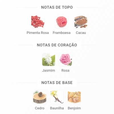 Notas aromáticas divididas em topo, coração e base com imagens correspondentes