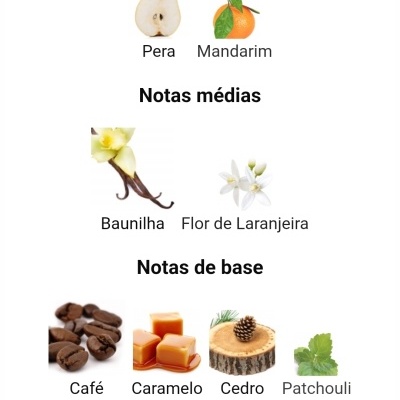 Ingredientes de fragrância em categorias de notas de topo, médias e base