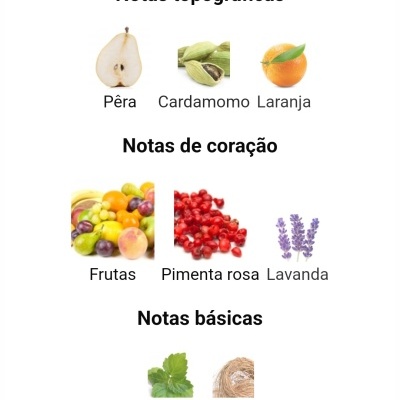 Notas olfativas com imagens de pêra, cardamomo, laranja, frutas, pimenta rosa, lavanda, patchuli e vetiver
