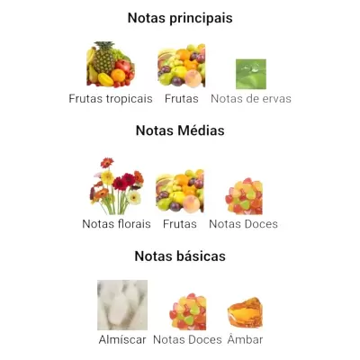Notas olfativas classificadas em principais, médias e básicas com imagens e texto em português.