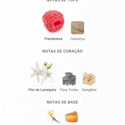 Notas olfativas de perfume com framboesa, camurça, flor de laranjeira, fava tonka, gengibre, baunilha e âmbar