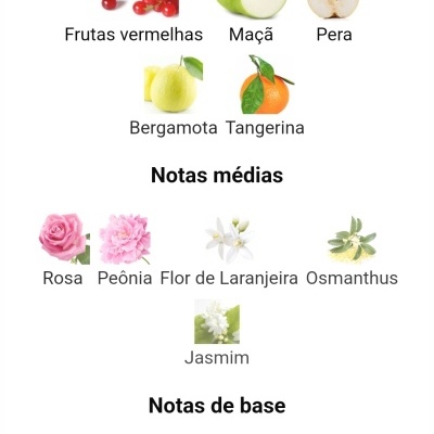 Notas olfativas divididas em notas de topo, médias e base com fotos de frutas e flores