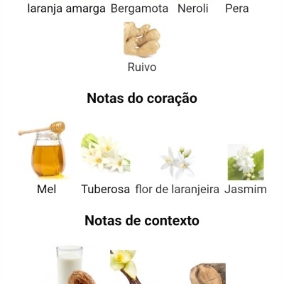 Ingredientes de perfume organizados em categorias com imagens e nomes em português