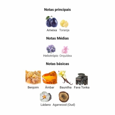 Notas aromáticas principais, médias e básicas de um perfume