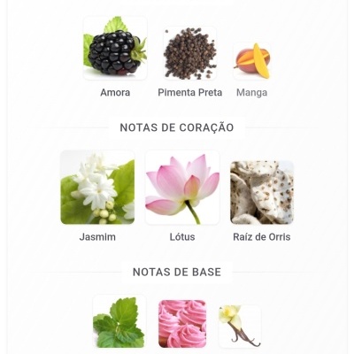 Gráfico com imagens de amora, pimenta preta, manga, jasmim, lótus, raíz de orris, patchouli, glacé rosa e baunilha