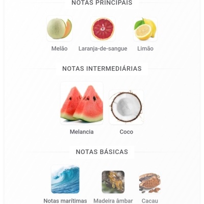 Frutas e elementos naturais representando notas principais, intermediárias e básicas.