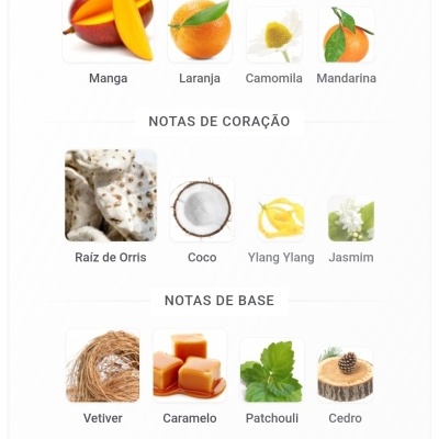 Notas de fragrância mostrando ingredientes como manga, laranja, camomila, mandarina, raiz de orris, coco, ylang ylang, jasmim, vetiver, caramelo, patchouli, cedro e almíscar.