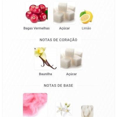 Notas aromáticas divididas em topo, coração e base com imagens correspondentes