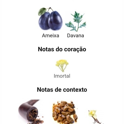Notas olfativas com imagens de ameixa, davana, imortal, tabaco, bálsamo de tolu e baunilha