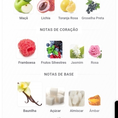 Notas olfativas ilustradas com imagens de frutas e flores organizadas em três categorias: topo, coração e base.
