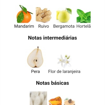 Imagens de ingredientes naturais para fragrâncias como mandarina, ruivo, bergamota, hortelã, pera, flor de laranjeira, almíscar, âmbar e cedro.