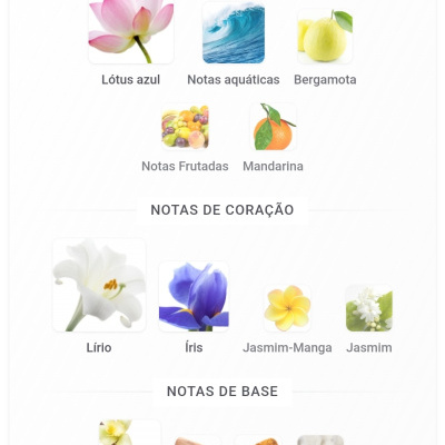 Ilustrações das notas olfativas propostas para perfumes, com fotos de flores, frutos e elementos naturais e seus nomes em português.