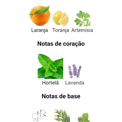 Notas de perfume divididas em topo, coração e base com imagens de ingredientes