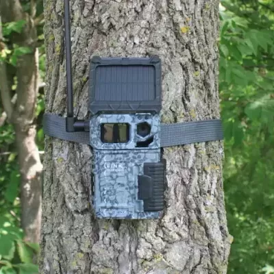 Câmera de vigilância camuflada presa a uma árvore com vegetação ao fundo