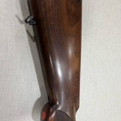 Coronha de arma de fogo em madeira castanha escura com textura e botão vermelho