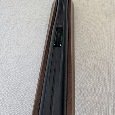 Cano e coronha de arma de fogo com mira luminosa