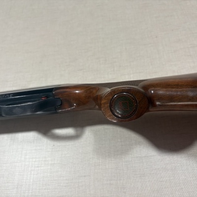 Espingarda com coronha em madeira castanha brilhante