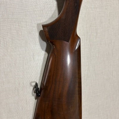 Coronha de madeira castanha polida de espingarda ou rifle contra fundo claro