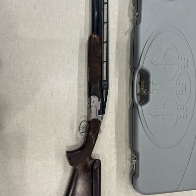 Espingarda com coronha de madeira e estojo rígido cinzento
