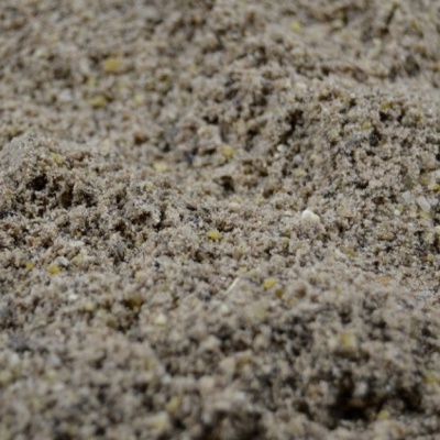 Areia granulada com pequenas pedras e textura irregular