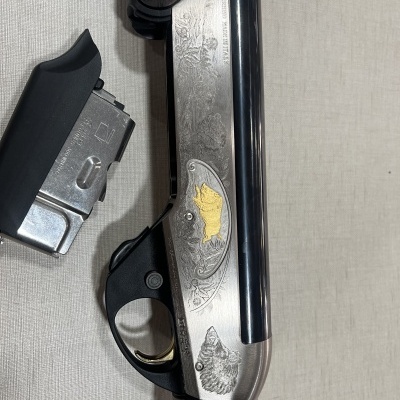 Espingarda com gravuras douradas e madeira escura