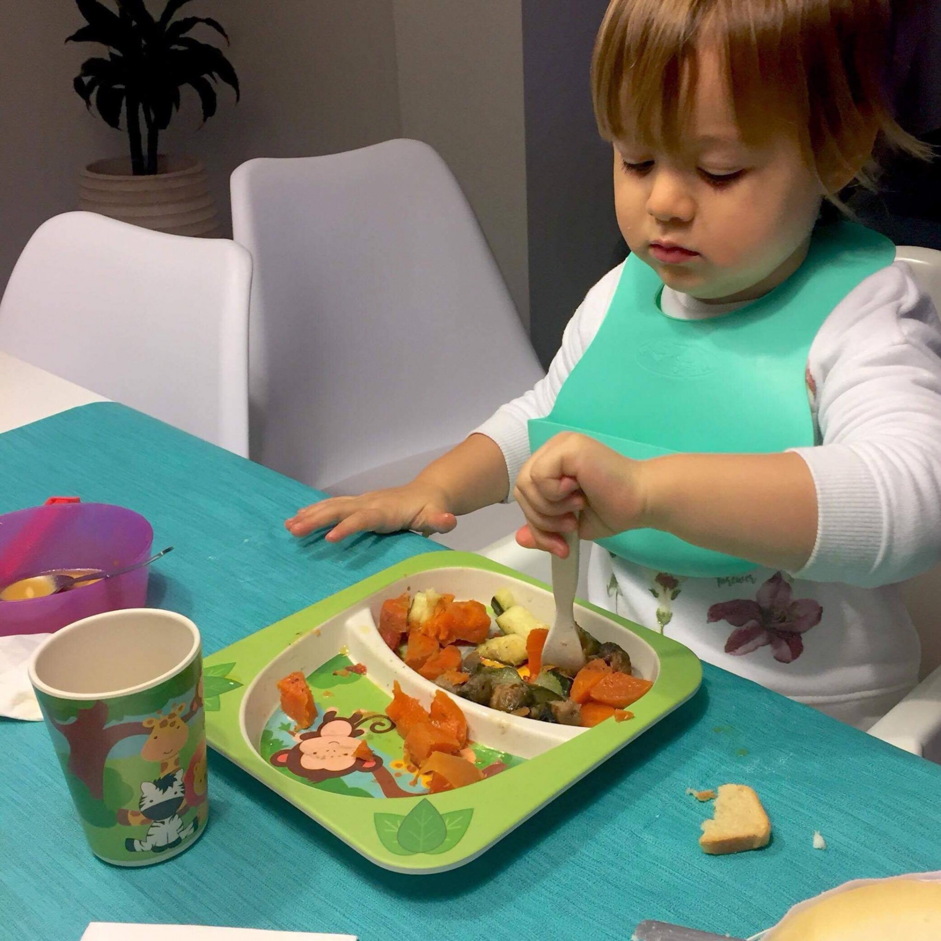 alimentos a dar nos primeiros meses de vida