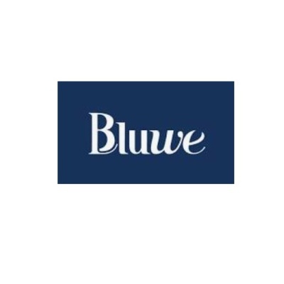 Logotipo com texto 'Bluwe' em branco sobre fundo azul escuro