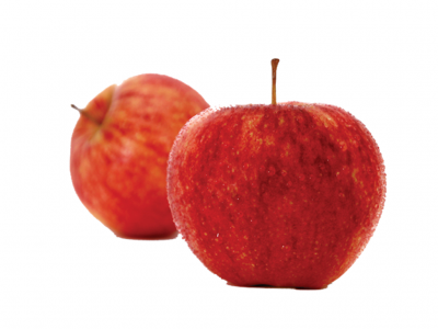 Duas maçãs vermelhas com gotas de água sobre fundo branco