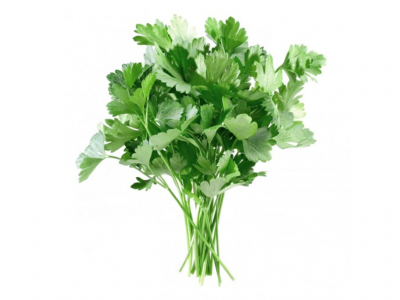 Ramo fresco de salsa com folhas verdes