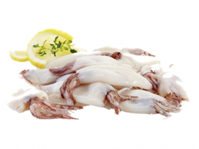 Lulas frescas com fatias de limão e tomilho