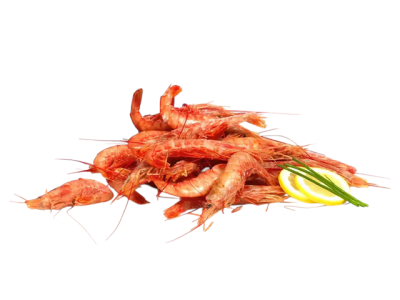 Gambas cozidas com fatias de limão e ervas frescas sobre fundo branco