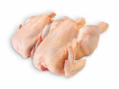 Dois frangos crus inteiros em fundo branco