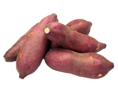 Conjunto de batatas-doces roxas sobre fundo branco