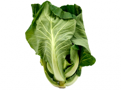 Folha de couve verde sobre fundo branco