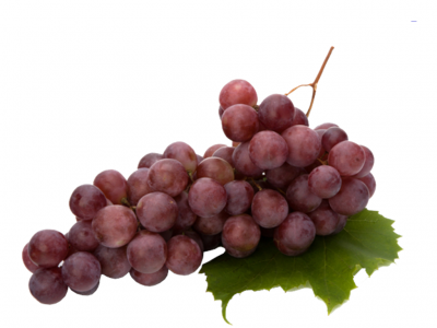 Cacho de uvas roxas com folha verde