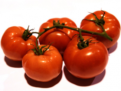 Cinco tomates vermelhos com caule verde