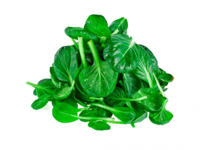 Folhas de espinafre verde sobre fundo branco