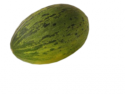 Melão verde com riscas verticais escuras numa superfície branca