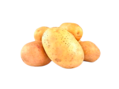 Cinco batatas com casca amarela em fundo branco