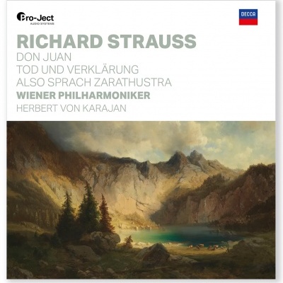 Capa de disco de vinil de Richard Strauss com pintura de paisagem montanhosa e texto em branco