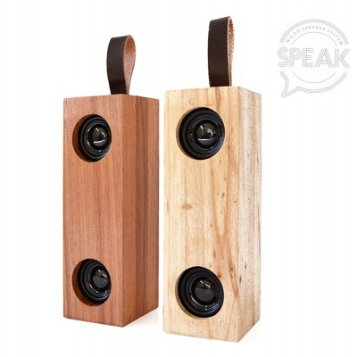 Dois altifalantes portáteis retangulares em madeira com alças de couro