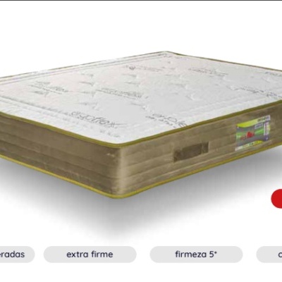 Ergoflex&#x20;Colch&#x00E3;o&#x20;Ortop&#x00E9;dico&#x20;Ortoativo