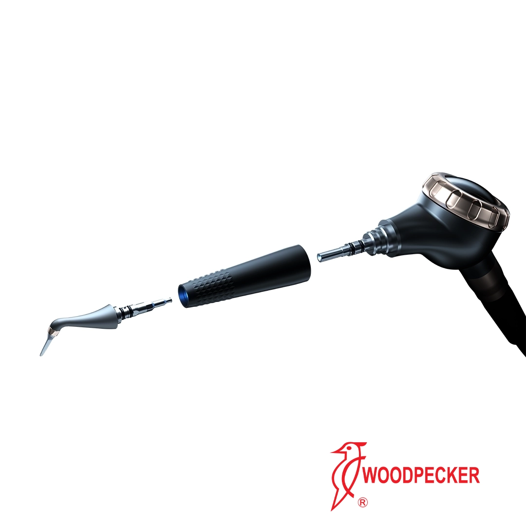 Polidor de ar Woodpecker AP-H L Plus modos supragingival e subgengival dois em um Instrumento odontológico desmontado com logótipo WOODPECKER